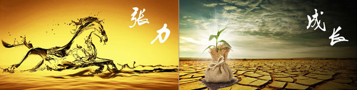 企業(yè)發(fā)展要學(xué)會(huì)取他人之長(zhǎng)、補(bǔ)自己之短